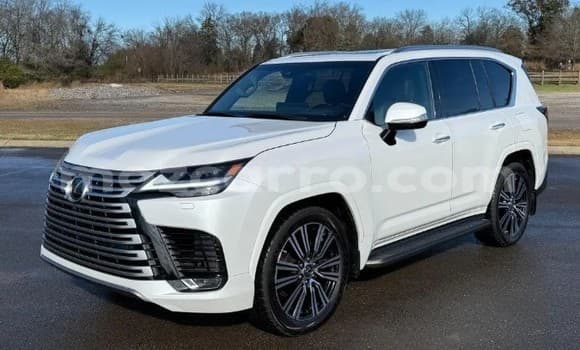 2023 Lexus LX