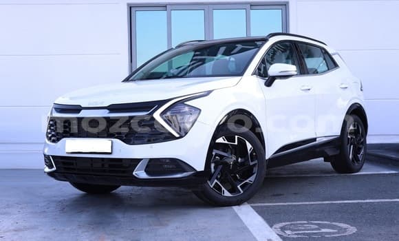 2024 Kia Sportage