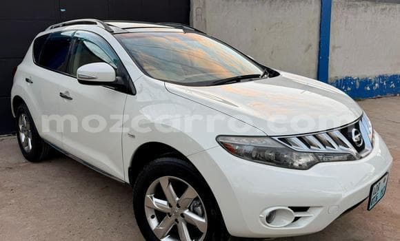 2010 Nissan Murano